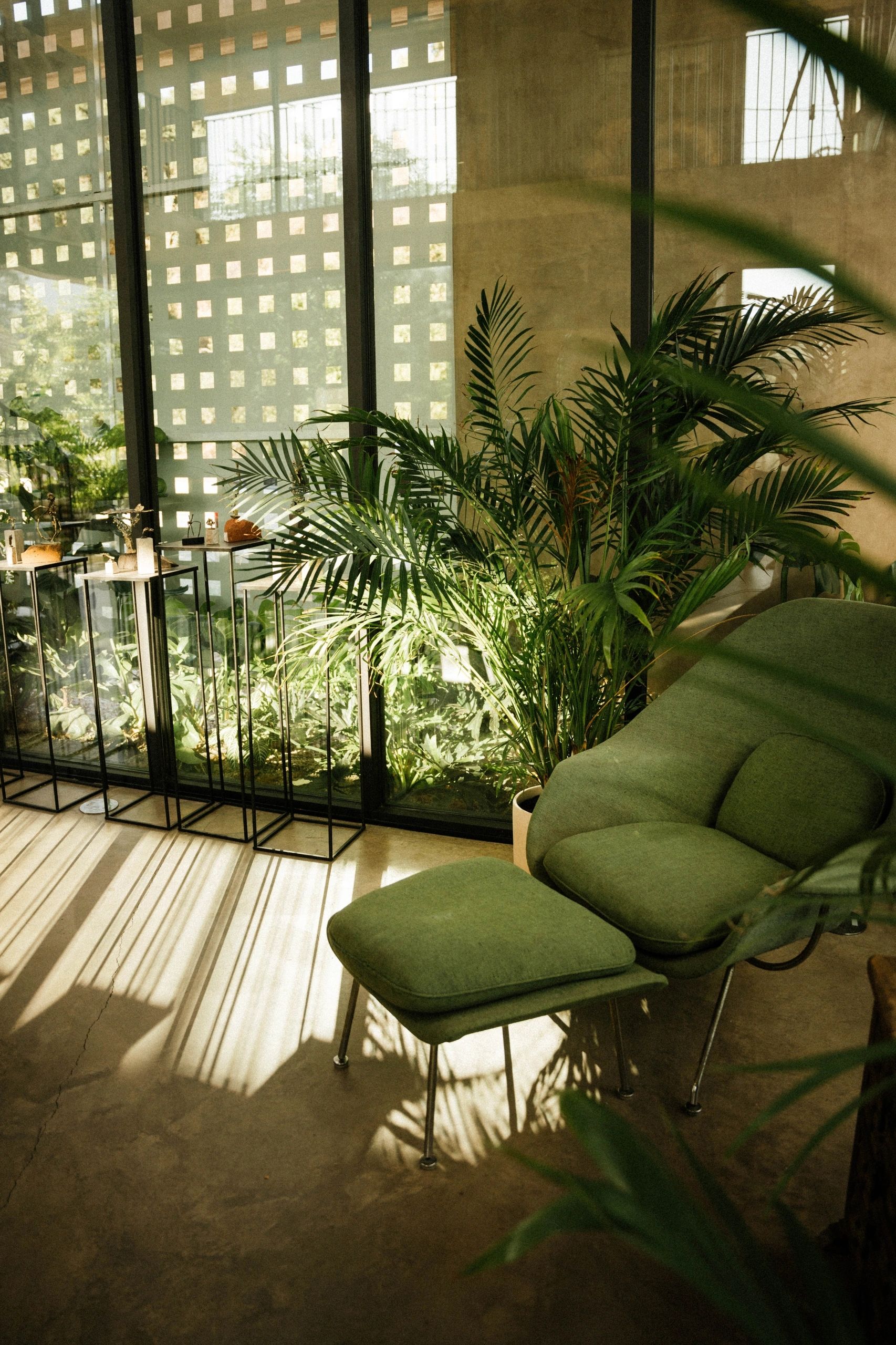 Verdugo — photo 1